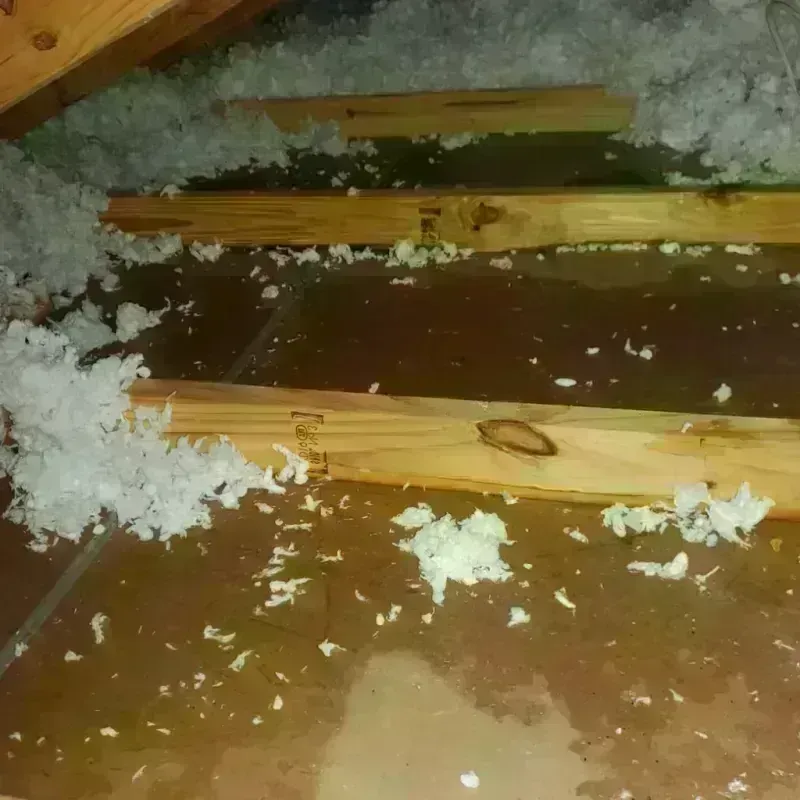 Attic Water Damage in Cheboygan County, MI