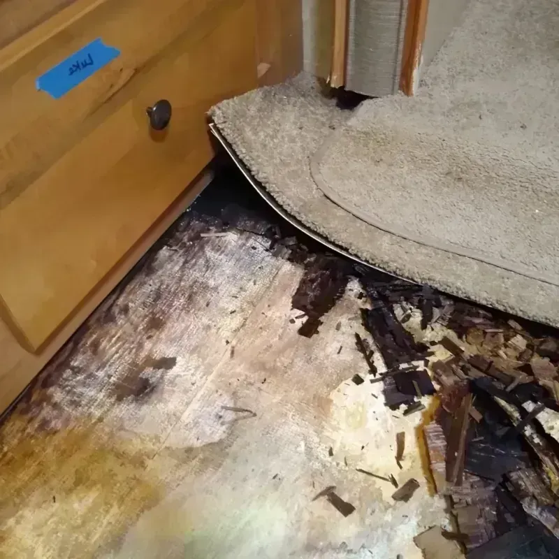 Wood Floor Water Damage in Cheboygan County, MI